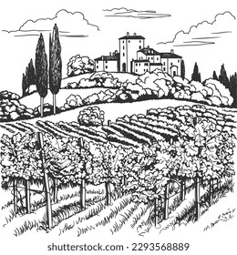Vineyard in Tuscany, Italy. Vector hand-drawn illustration.