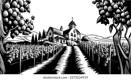 Ilustración de línea negra vectorial de viñedos aislado blanco. Dibujo artístico