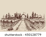 Vineyard vector drawing, etch style. Farm entrance and vine culture
