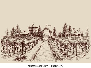 Vineyard vector drawing, etch style. Farm entrance and vine culture