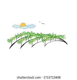 vineyard vector illustration rural landscape
