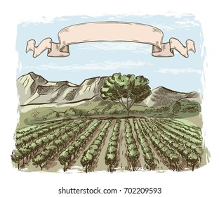 Vineyard and winery. color vector sketch drawn by hand