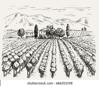 Vineyard and winery. vector sketch drawn by hand