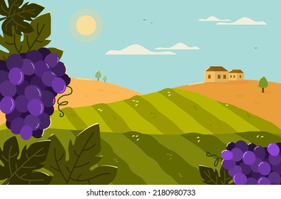 Vineyards in Europe. Vector illustration of a rural landscape with bunch of grapes. Label design for wine bottle or menu.