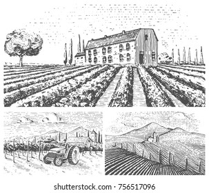 vineyards landscape, tuscany fields, old looking scratchboard or tattoo style for menus and signage in the bar. engraved hand drawn in old sketch, vintage style for label or T-shirt.