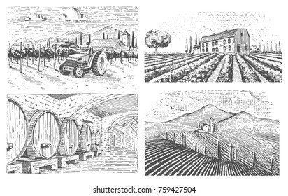 vineyards landscape, tuscany fields, old looking scratchboard or tattoo style for menus and signage in the bar. engraved hand drawn in old sketch, vintage style for label or T-shirt.