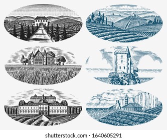 Vineyards Set. Vine plantation for bottle labels. Scenic view of French or Italian engraved landscape. Mountains Rural Fields Wheat Hills Hand drawn vintage sketch for alcohol, whiskey beer poster.