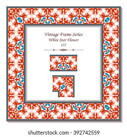 Vintage 3D frame - White Star Flower