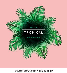Vintage abstract vector tropical background. Green foliage, palm leaves on pink. Exotic tree. Border. Jungle theme design template for spring/summer fashion banner or poster. Frame. EPS 10.