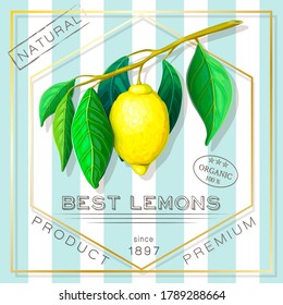 vintage advertising poster of exotic citrus fruits. vector label with yellow ripe lemon branch in retro style. square elegant lemonade sticker. old ad banner with fresh lemon. great for package design