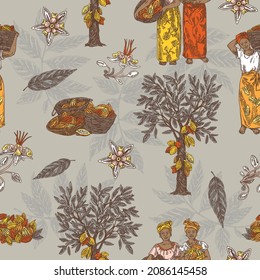 Vintage african sin costura. Granja de cacao. Recolectores femeninos de cacao, cestas y árboles de fondo gris. Estilo de grabado. Ilustración vectorial.