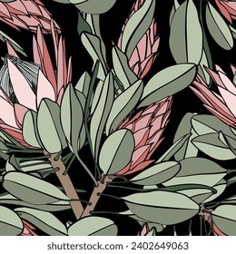 Vintage african seamless pattern.Tropical flowers background. Banksia, protea line illustration.