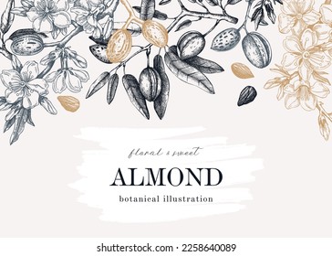 Diseño de banner de almendras antiguas. Ramas floridas con nueces, flores, hojas en un estilo grabado. Fondo de primavera floral. Ilustración vectorial botánica de árboles de nuez para carteles, impresiones, tarjetas