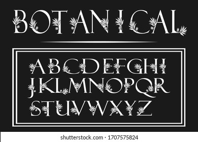 Vintage Alphabet Font,  luxury typeface style for luxuries business, hotel, royal, crown, boutique