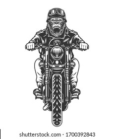 Vintage angry gorilla head biker in helmet and goggles riding motorcycle in monochrome style isolated vector illustration