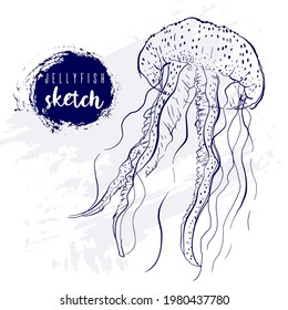 Vintage animal jellyfish marine sketch.Retro line style medusa.Hand drawn underwater.Vector illustration.