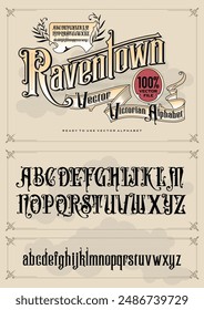 A vintage antique victorian ephemera alphabet vector