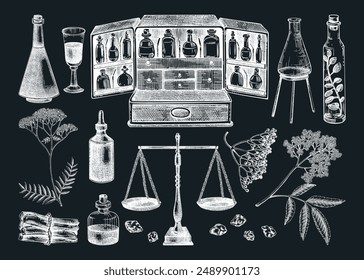 Ilustraciones vectoriales a mano de boticario vinatge en pizarra. Boticario, básculas, cristalería, incienso, hierbas medicinales. Elementos de diseño de brujería. NO AI generado