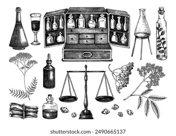 Ilustraciones vectoriales hechas a mano en boticario vinatge. Antiguo boticario, básculas, cristalería, incienso, bocetos de hierbas medicinales. Elementos de diseño de brujería. NO AI generado