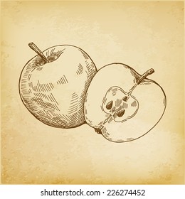 Vintage apple on paper