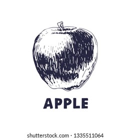 VINTAGE APPLE VECTOR