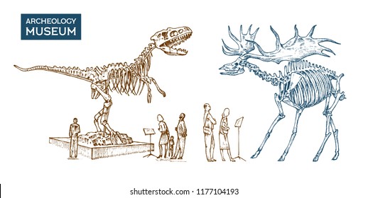 Vintage Archaeological Museum. Visitors are looking at the exhibit. Historical skeleton of an extinct animal dinosaur and Irish elk or giant deer. Engraved hand drawn old monochrome sketch.