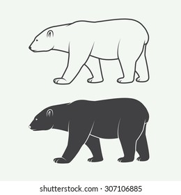 Vintage arctic white polar bear. Vector illustration