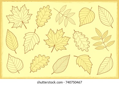 vintage artistic set of autumn leaves silhouettes