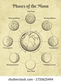 Vintage astrology moon. Moons phases in space retro illustration, half full and new moon dial hand drawn clipart, different celestial orbit lunar engraving astrological paganism vector signs