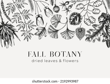 Vintage Autumn background. Black and white fallen leaves and dried flowers sketches. Floral frame. Hand-drawn dried herbs, fall leaves, mushrooms, and fruit illustration. Thanksgiving background.