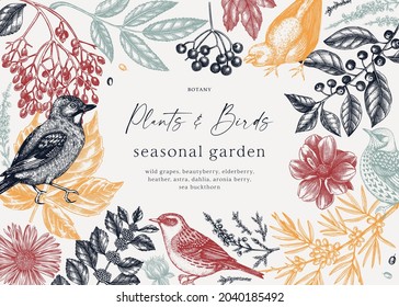 Vintage autumn background with hand sketched wild birds. Elegant botanical template with autumn leaves, berries, flowers and bird sketches. Perfect for vintage invitation, cards, flyers design