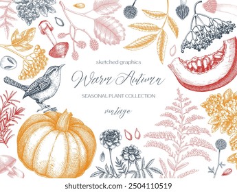 Vintage autumn card design. Thanksgiving background. Fall leaves, pumpkins, berries, mushrooms sketches. Hand-drawn vector illustration. NOT AI generated