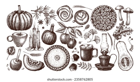 Vintage autumn hand-drawn vector illustration. Pumpkin, hot drink, fruit, pie, pastry, fall leaves sketches. Thanksgiving design elements in engraved style