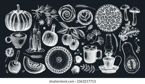 Vintage autumn hand-drawn vector illustrations set. Pumpkin, hot drink, fruit, pie, pastry, fall leaves sketches. Thanksgiving design elements collection on chalkboard