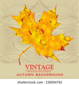 Vintage Autumn leaves design elements