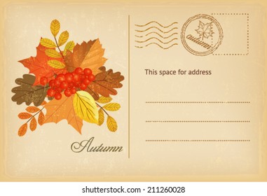 vintage autumn postcard 