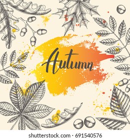 Vintage Autumn poster with hand drawn maple, birch, chestnut, acorn, ash tree, oak
and brush stroke. Sketch. Hand made lettering. Banner, flyer, brochure. Advertising. Engraving illustration. 