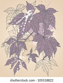 vintage background