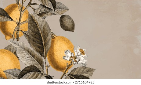 Fondo de Antiguas con fondo beige, con una superficie texturizada de color beige e ilustraciones detalladas de limones y hojas. Vector de Fondo de pantalla de escritorio.