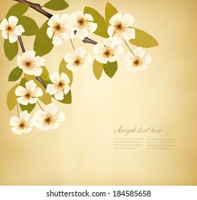 Fondo vintage con broche de árbol floreciente y flores blancas. Vector. 