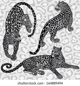 Vintage background, exotic style fashion seamless pattern with leopards, artistic wallpaper, creative fabric, wrapping with graphic elements for design