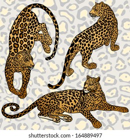 Vintage background, exotic style fashion seamless pattern with leopards, artistic wallpaper, creative fabric, wrapping with graphic elements for design