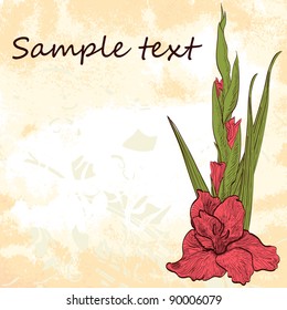 Vintage background with flower of gladiolus