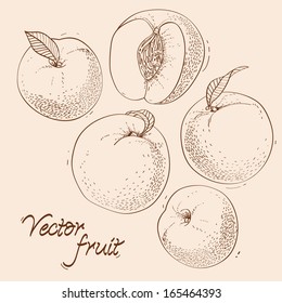 Vintage background with fruit