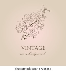 Vintage background with grape branch