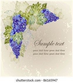 Vintage background with grape branch .