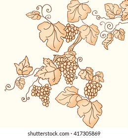 vintage background with grape branch. vector