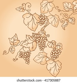 vintage background with grape branch. vector