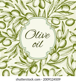 Vintage background with hand drawn green olive branch. Vector illustration