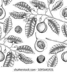 Vintage background with hand drawn nutmeg tree illustration. Vector hand drawn spice plant design. Engraved style seamless pattern  with aromatic and tonic elements.